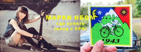 гидропоника Алзамай
