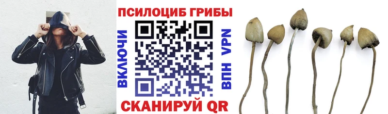 цены наркотик  blacksprut   Псилоцибиновые грибы прущие грибы  Алупка 